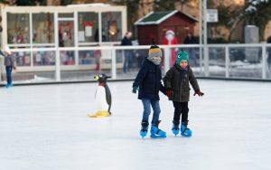 winter activities in country squire estates, skating