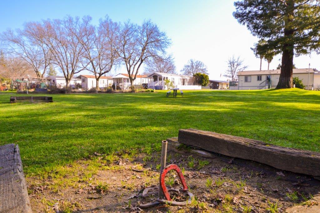 community park with horseshoes game