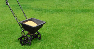 Fertilize your lawn to prepare for fall